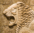 Ishtar 1 Lion
